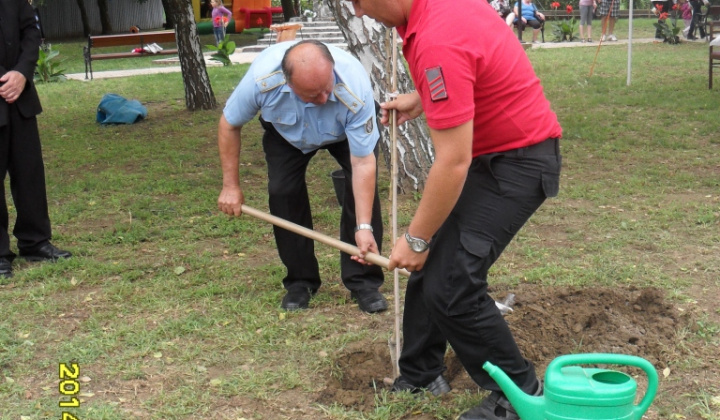 Falunap - Deň obce 2014