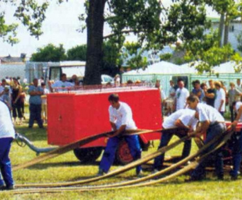 Sport - Šport